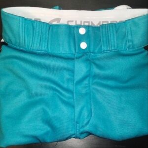 Blue Pinstriped Champro Baseball Pants.